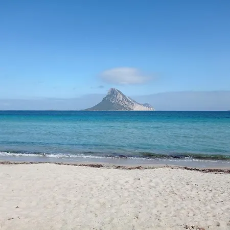 Trilocale A Un Km Dal Mare Vaccileddi