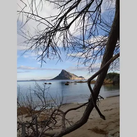 Trilocale A Un Km Dal Mare Dom wakacyjny *